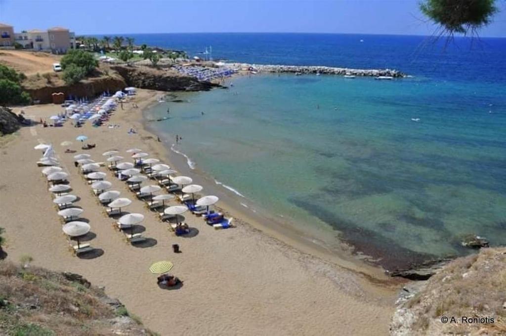 Dionisia With Private Pool Apartment